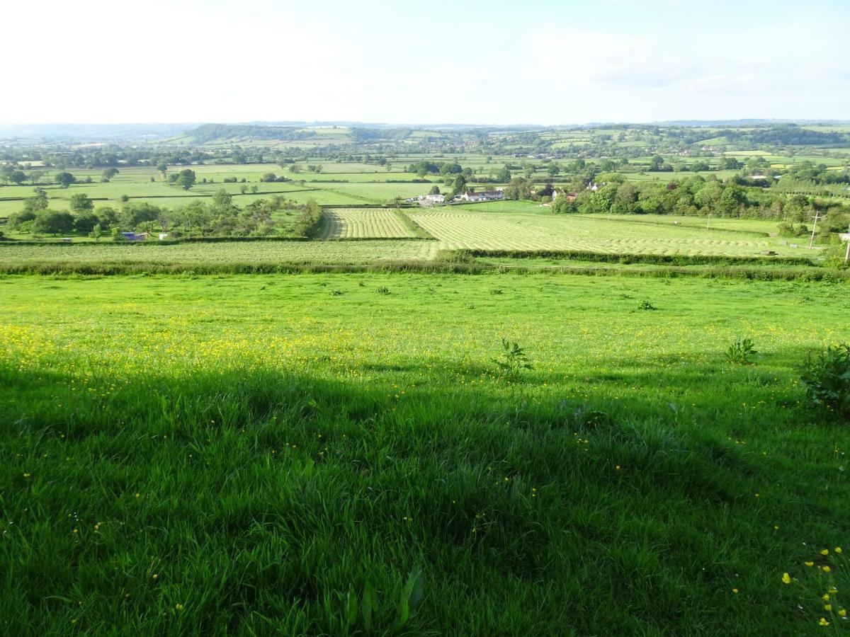 The Lazy Shepherd East Pennard Exterior foto